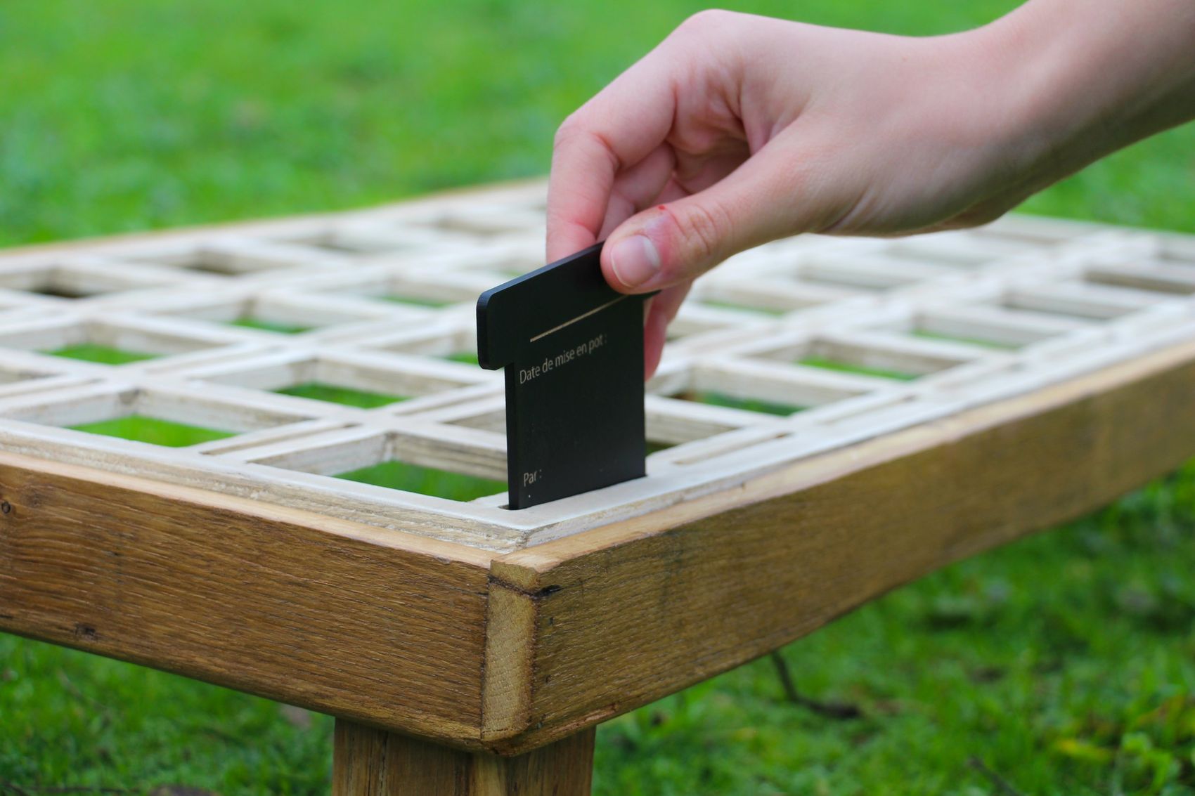 Une main glisse une carte noire « Date de mise en pot / Par » dans une case du plateau de rangement en bois