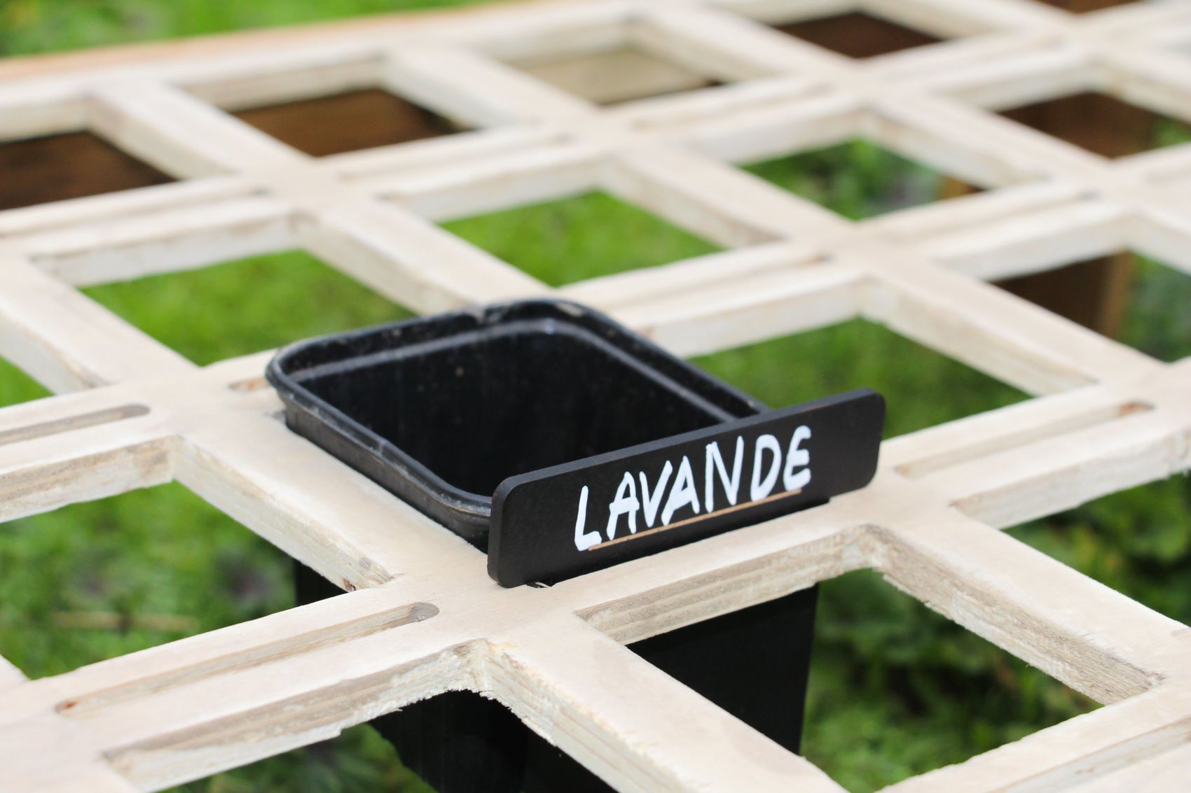 Un pot noir et sa carte « Lavande » posés dans une case du plateau de rangement